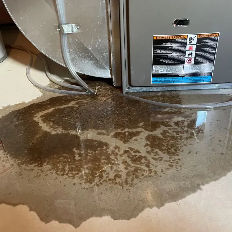 Pipe Burst and Leak Restoration in Remsen, IA